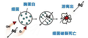 无机抗菌涂料的抗菌原理