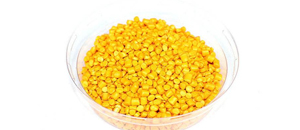 功能母粒中降解母粒有哪些优势