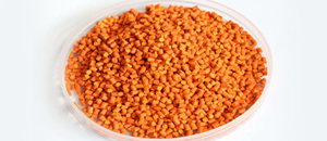 阻燃母粒成功崛起大显神威