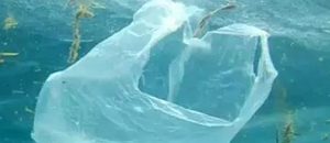 口服改性塑料袋引起全球关注