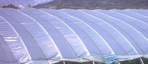 农膜生产企业如何应用红外线阻隔母粒