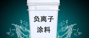 中国负离子释放涂料专家访问美国涂料企业