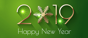 纳琳威祝大家新年快乐