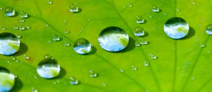 超疏水多功能协同作用自修复涂料研究进展