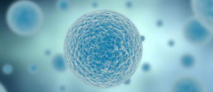 本征型聚合物自修复特性涂料研究进展