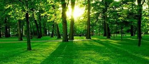 评价负离子释放涂料性能的十分重要指标