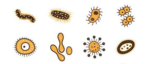 仿生自修复涂料防腐涂层的研究进展