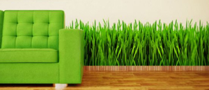 负离子释放涂料呵护健康