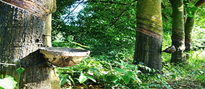 一种高分子纳米自修复记忆胶