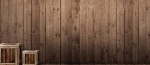 保健防臭负离子释放涂料鞋垫的研制