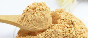 纳米粉体的合成及其气敏特性