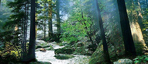 负离子释放涂料与城市环境