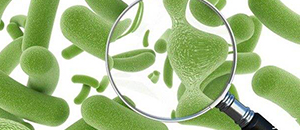 氧化锌纳米粉体的多种应用途径