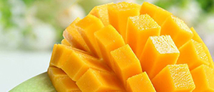 纳米抗菌母粒在芒果保鲜中的应用研究