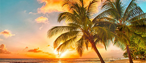 生态建材的典范——负离子释放涂料