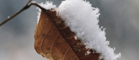 抚顺铝业、淄博铝厂，接下来是谁？